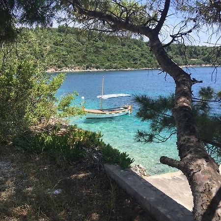 Hamo Apartments & Soba Λομπάρδα Εξωτερικό φωτογραφία