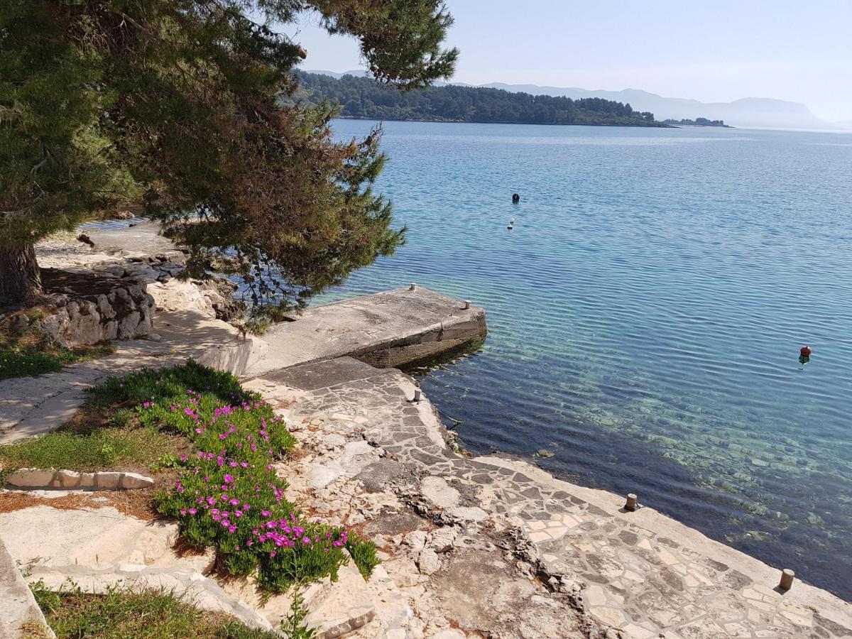 Hamo Apartments & Soba Λομπάρδα Εξωτερικό φωτογραφία