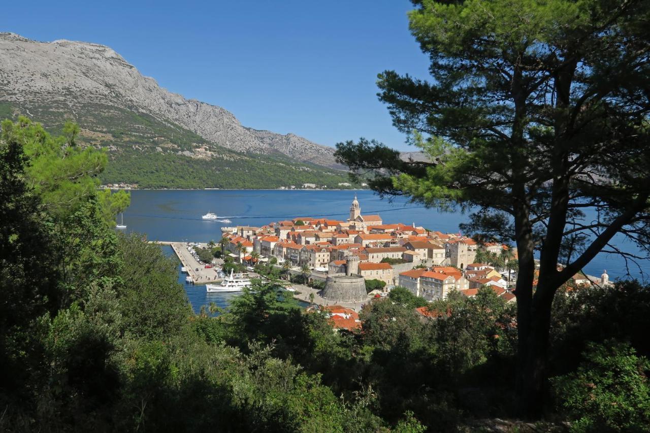 Hamo Apartments & Soba Λομπάρδα Εξωτερικό φωτογραφία