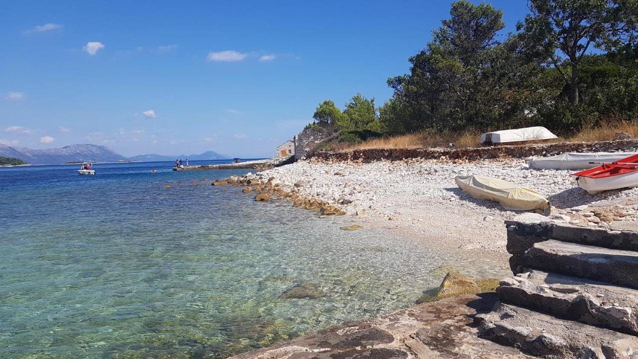 Hamo Apartments & Soba Λομπάρδα Εξωτερικό φωτογραφία