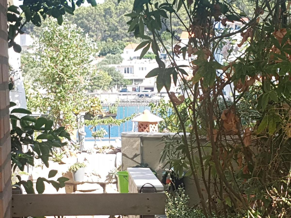 Hamo Apartments & Soba Λομπάρδα Εξωτερικό φωτογραφία