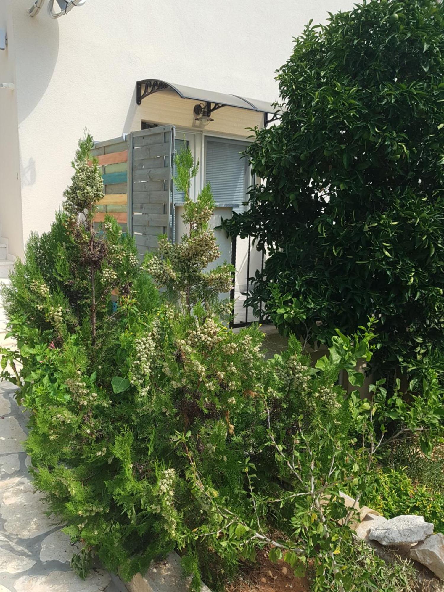 Hamo Apartments & Soba Λομπάρδα Εξωτερικό φωτογραφία